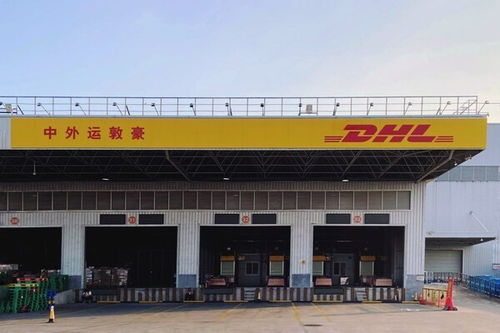 dhl快遞榮膺 2022年度貨運航空公司 稱號